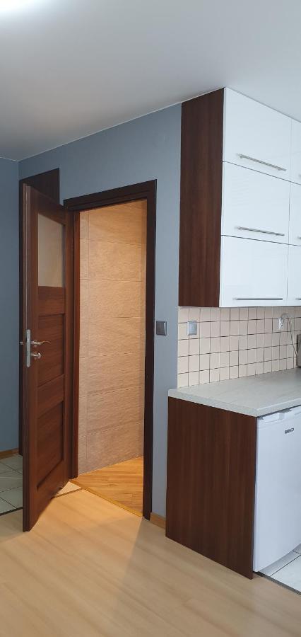 شقة Modern Apartament كراكوفيا المظهر الخارجي الصورة